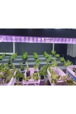 Growlight Bitki Büyütme Ledi Premium Seri 1 Metre