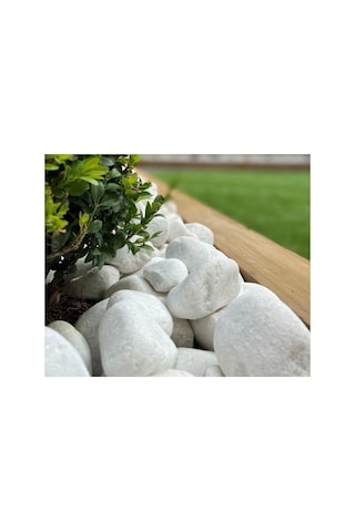 Asenya Dolomit Taş 10 Kg 6-10 Cm Beyaz Dolomit Taş Saksı Dibi Dekoratif Taş Bahçe Süsleme Taşı Peyzaj Taşı