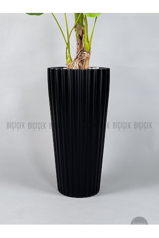 Biçiçek Yapay Monstera Ağacı Deve Tabani 200 Cm Si̇yah Li̇lyum Saksıda