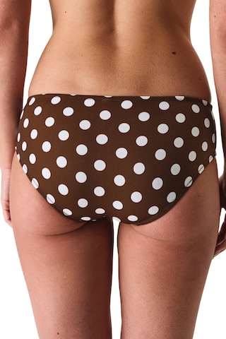 Penti Renkli Polka Dot Hipster Bikini Altı Çok Renkli