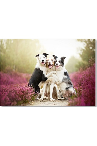 Cakasepetim Gülerek Poz Veren Sevimli Köpekler Ve Çiçekler Ahşap Mdf Tablo