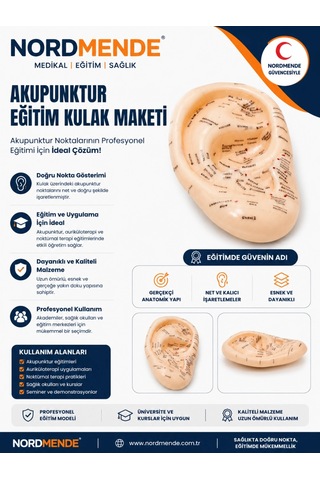 Mey İthalat Akupunktur Eğitim Kulak Maketi Auriküloterapi Nokta Gösterim Anatomik Eğitim Modeli