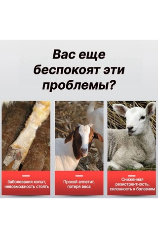 Hangfox Japon V1 Kırık Dal Kesici Bahçe Çiçek Budama, Meyve Alma Ve Aşılıma Uygun Zırh Kesici Kırmızı-gri Kollu, Opp Paketli