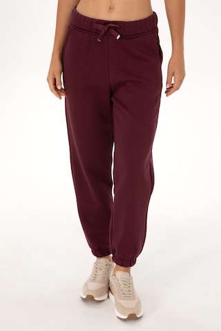 U.S. Polo Assn. Kadın Bordo Jogger Eşofman Altı 50307736-VR177