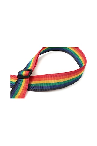 Ernie Ball P04044 Gitar Askısı Rainbow Gökkuşağı Nylon Straps Pol