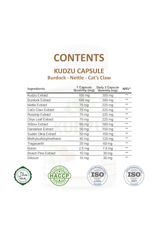 Gökçek Şifa Kudzu 60 Kapsül