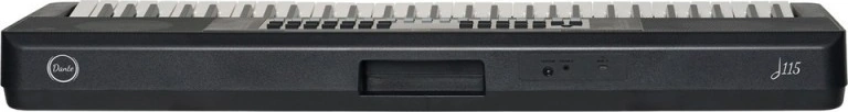 Medeli Dante D115 61 Işıklı Tuşlu Org
