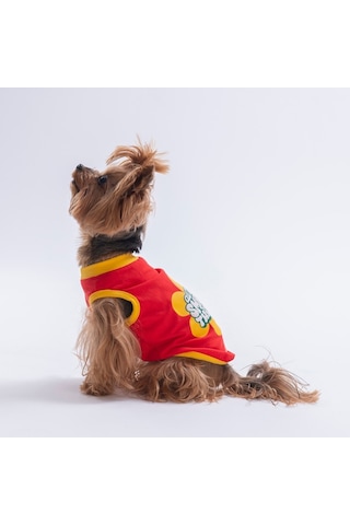 Red-kırmızı Small Things Tişört Kedi Köpek Tişörtü-kedi Köpek Kıyafeti