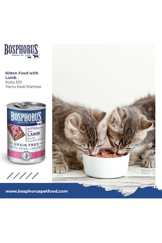 Bosphorus Kuzu Etli Küçük Taneli Yavru Kedi Konserve Maması 48 X 415 Gr Parça Etli
