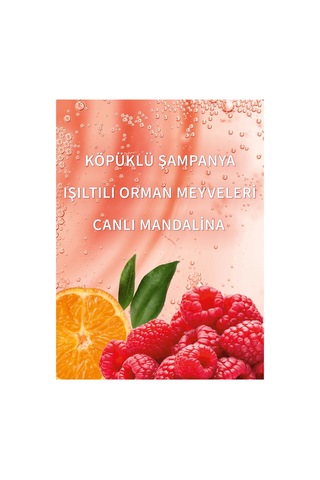 Bath & Body Works Champagne Toast Duş Jeli 295 Ml Diğer