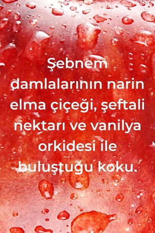 Method Ankastre Temizleyici ve Parlatıcı Elma Bahçesi Kokulu 414 ML