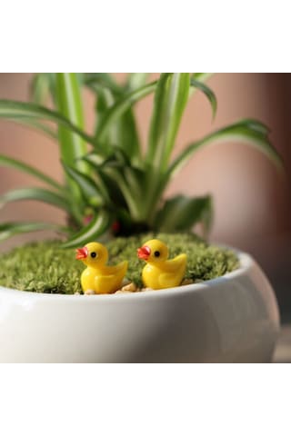 Sones Adet Mini Bebek Evi Aksesuarları Reçine Üç Boyutlu Küçük Sarı Ördek Bitki Dekorasyonu