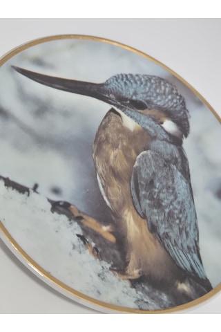 Kahla Vintage Yalıçapkını Temalı Porselen Duvar Tabağı 19,5cm 003