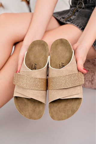 Polomia Comfort Olivia Esnek Ayarlanabilir Tek Cırtlı Anatomik Poli Comfort Cool Rahat Kadın Günlük Sandalet Terlik Bej