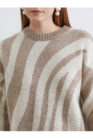 Lcw Modest Kahverengi Bisiklet Yaka Zebra Desenli Kadın Triko Tunik