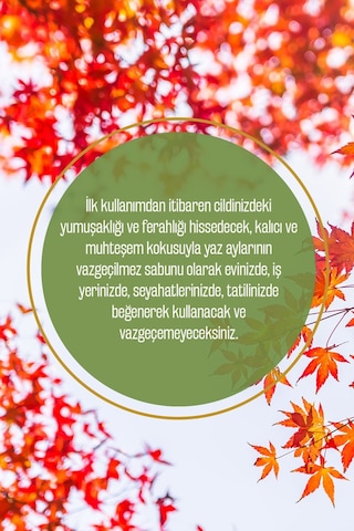 Vivaldi Serisi %100 Doğal Büyülü Yapraklar Zeytinyağlı Sıvı El Sabun Nemlendirici Bitkisel 500 Ml Çiçek