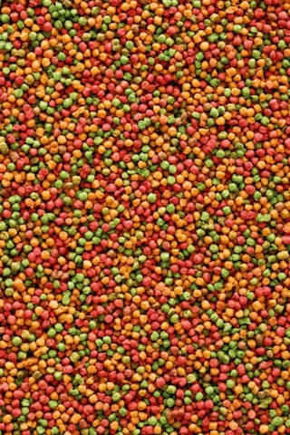 Versele Laga Nutribird B14 Pelet Yem 500 G