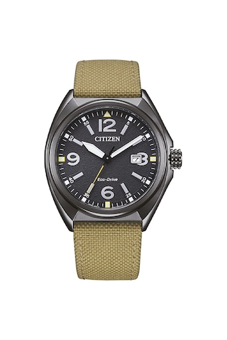 Cıtızen Aw1575-08e Erkek Kol Saati Çok Renkli