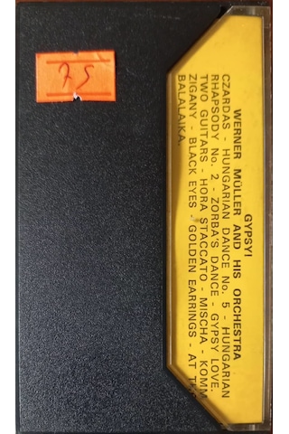 Plak Değildir Kaset Tir Gypsy Kaset