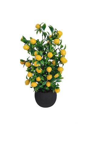 Limon Ağacı Mutfak Süsü 50 Cm Antrasit Saksıda