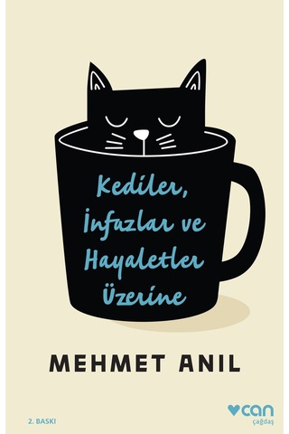 Kediler İnfazlar ve Hayaletler Üzerine - Mehmet Anıl - Can Yayınları