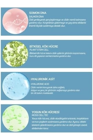 Bitkisel Kök Hücre Ve Somon Dna Cilt Serumu