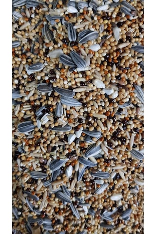 Cennet Sultan Papağanı Yemi 5 KG Cennet Sultan Papağanı Yemi 5 KG