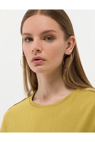 Pierre Cardin Yeşil Regular Fit Tişört 50269359-vr235 Diğer