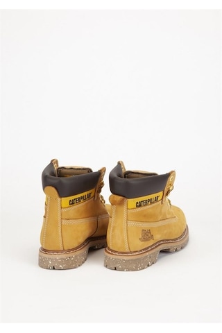 Caterpillar E Colorado Honey Erkek Bot