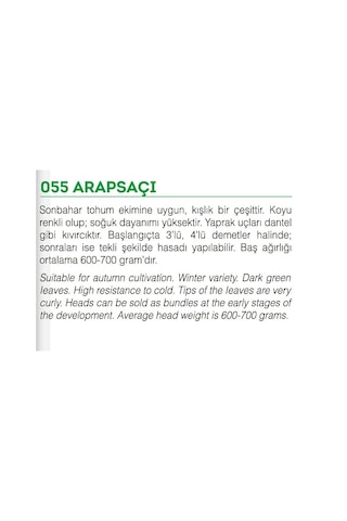 AGRodal Tarım Ata Tohumu Yerli Doğal Marul Arapsaçı 1000 Tohum