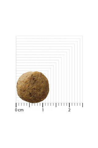 Bozita Original Büyük Irk Yavru Köpek Maması Kuzulu 12 Kg