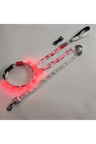 Willowhaven Yomisgo 2 Adet Usb Şarjlı Led Işıklı Plum Red Tasma Ve Tasma Seti, 1000m Görüş Diğer