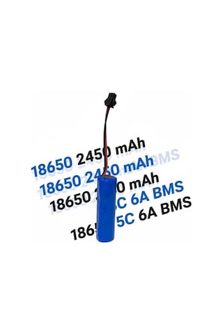 Micron Li-on 18650 2450 Mah Şarjlı Pil Ve Şarj Cihazı 8367