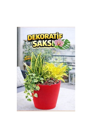 Dekoratif Saksı 12.5 Cm Canlı Kırmızı Renk 1.25 Lt Orkide Ve Salon Bitkileri Için