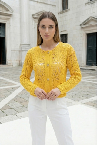 Sayzen Your Shine Dantel Desenli Gold Düğmeli Basic Ceket Shn-2602-tg Sarı