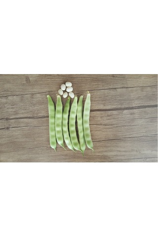 Özayşe Sırık Fasulye Tohumu 10 Kg