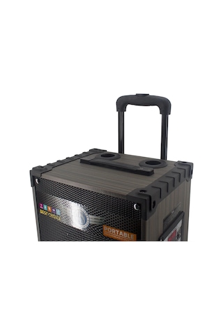 Zore Lt-912 Dijital Led Göstergeli Fm Radyolu Mikrofonlu Gitar Girişli Tws 12 İnç Stereo Bass Kablos