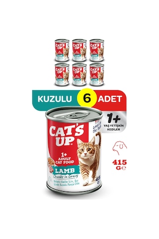 Cats Up Yaş Yetişkin Kedi Maması Kuzu Etli 415gr 6lı