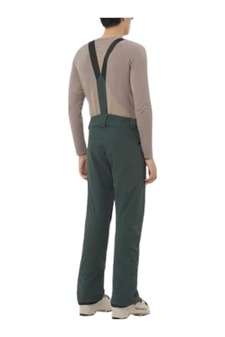 Salomon Salomon Edge Erkek Yeşil Kayak Pantolonu 22889 Yeşil