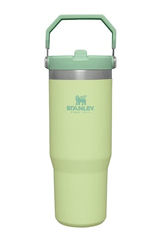 Iceflow Flip Straw Pipetli Termos Bardak, 0.89 Litre, Lime Yeşili Citron S