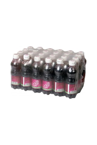 Acısız Şalgam Pet 300ml 24adet