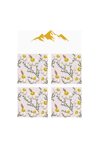 Dijital Baskılı Yumuşak Dokulu 4 Lü Kırlent Kılıfı Takımı 43x43 Cm Krl0081 Renkli