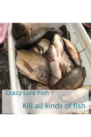 Yaozixa Yüksek Konsantrasyon Yumurta Süt Tozu: Balık Çekici Koku, Göl-çay-uzayık Balıkçılığı İçin Profesyonel İlaç 500g