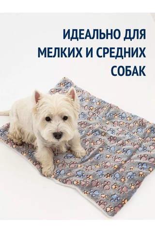 Tcallini Pets Küçük Ve Orta Boy Kedi Ve Köpekler İçin Yatak, 60 40 Cm 197958856