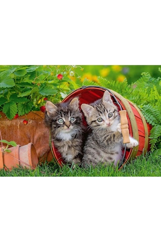 Ravensburger 2 Adet 12 Parçalı Puzzle Yavru Kediler Ravensburger 3 Yaş Ve Üzeri Çocuk Yapbozları Serisi