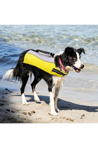 Homyl Yüzme Havuzu Köpek Için Pet Can Yeleği Koruyucu