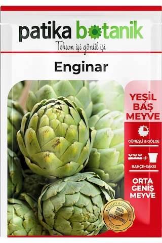 15 Adet Yerli Ata Enginar Tohumu