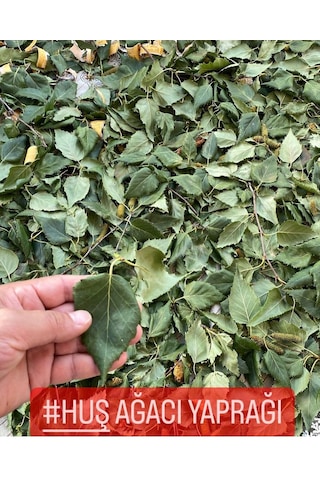 Aktar Marka Huş Ağacı Yaprağı 50 G