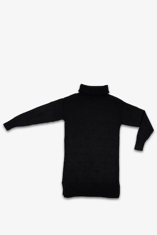 Kadın Siyah Boğazlı Kabartma Noktalı Uzun Kollu Triko Elbise Siyah