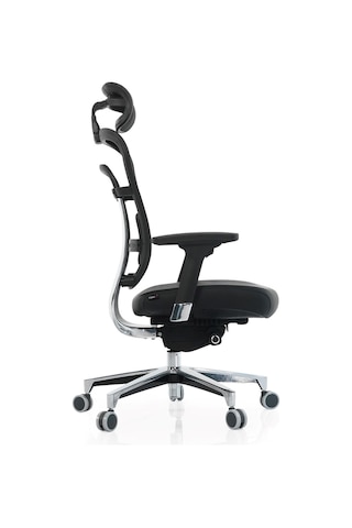 Passion Çalışma Koltuğu Oyuncu Yönetici Makam Koltuğu